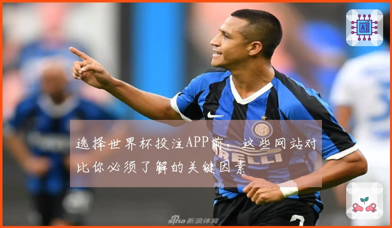 选择世界杯投注APP前,这些网站对比你必须了解的关键因素